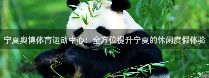 宁夏奥博体育运动中心：全方位提升宁夏的休闲度假体验