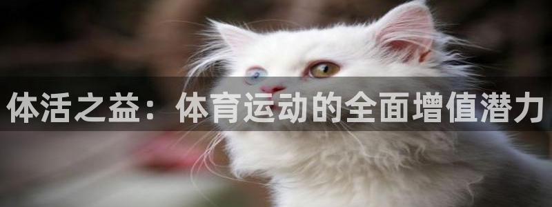 体活之益：体育运动的全面增值潜力