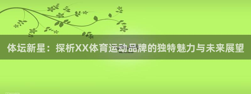 体坛新星：探析XX体育运动品牌的独特魅力与未来展望