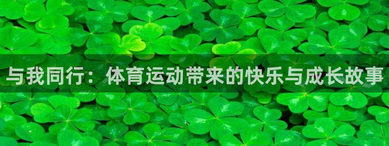 与我同行：体育运动带来的快乐与成长故事