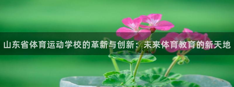 山东省体育运动学校的革新与创新：未来体育教育的新天地